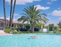 sky, palm tree, outdoor, swimming pool, tree, pool, water